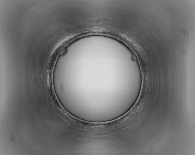 X0000113741262200909230938