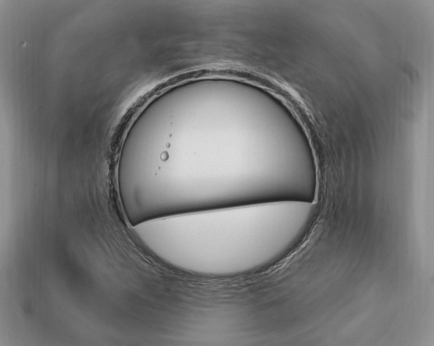 X0000113741263200909230938