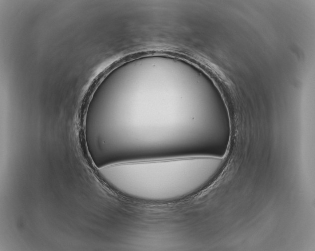 X0000113741264200909230938