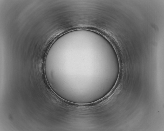 X0000113741265200909230938