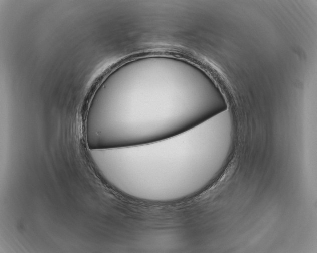X0000113741267200909230938