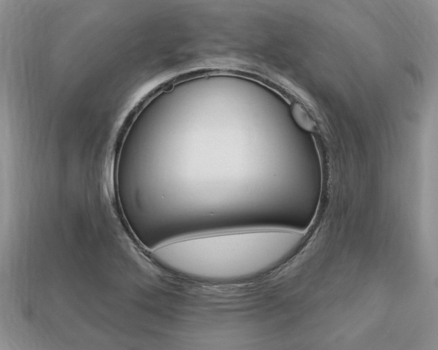 X0000113741272200909230938