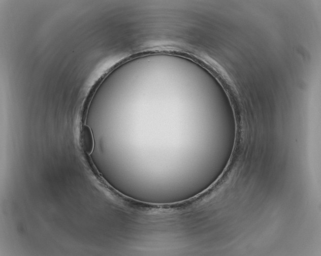X0000113741277200909230938