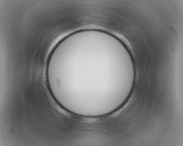 X0000113741278200909230938