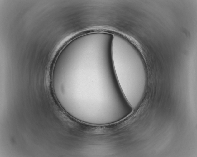 X0000113741279200909230938