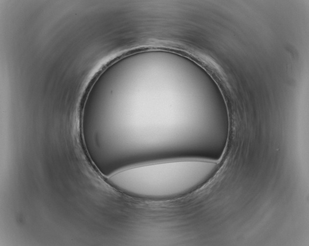 X0000113741280200909230938