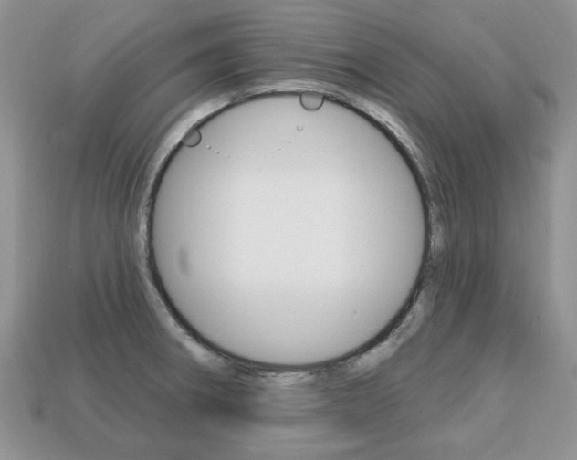 X0000113741282200909230938