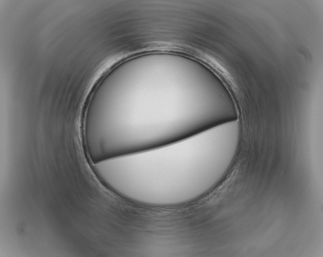 X0000113741283200909230938