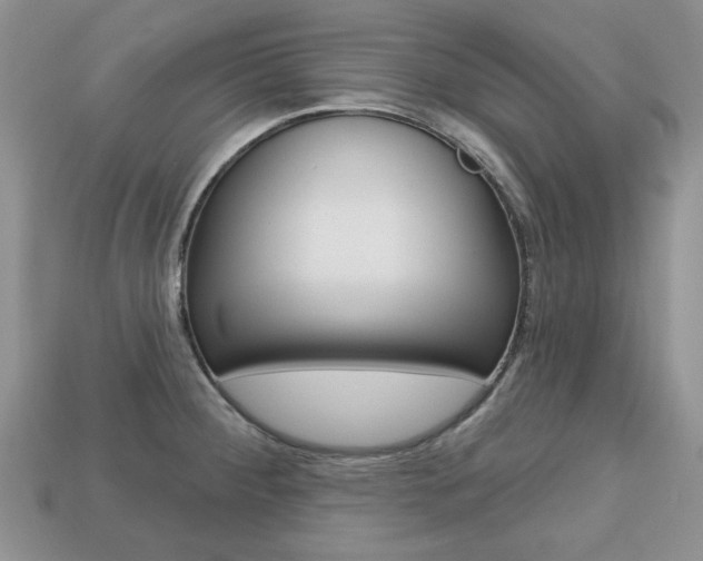 X0000113741284200909230938