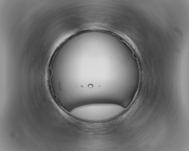 X0000113741285200909230938