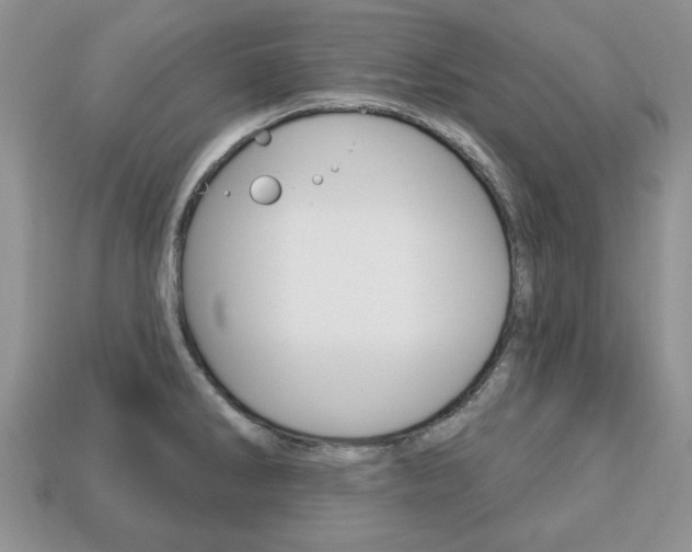 X0000113741286200909230938