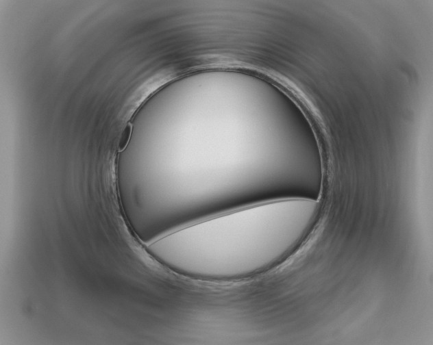 X0000113741289200909230938