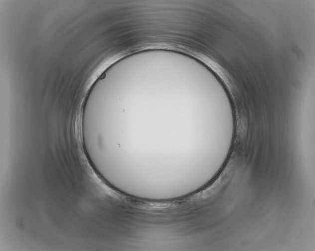 X0000113741290200909230938