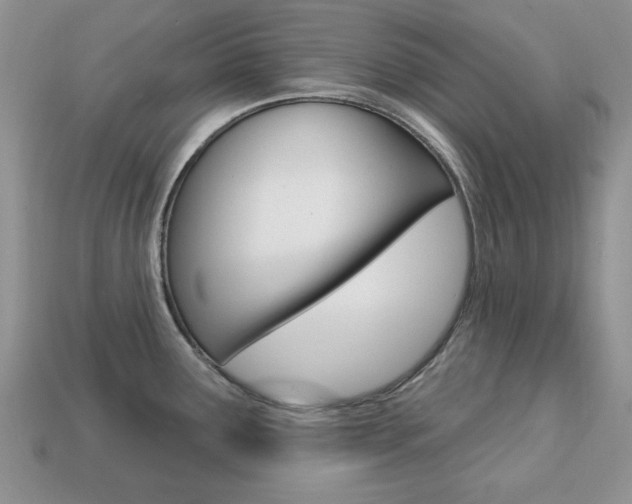 X0000113741291200909230938