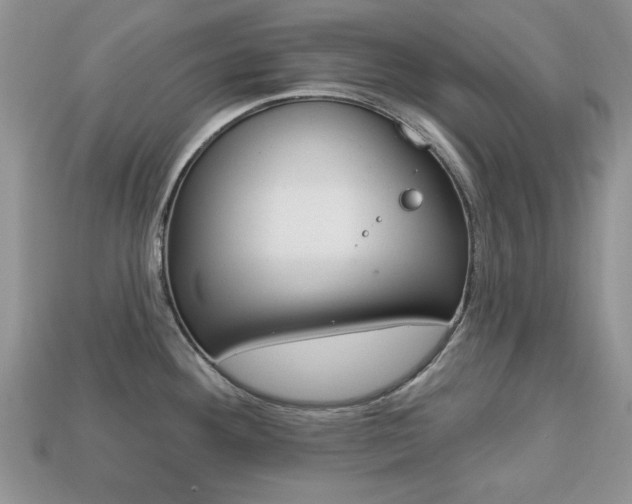 X0000113741292200909230938