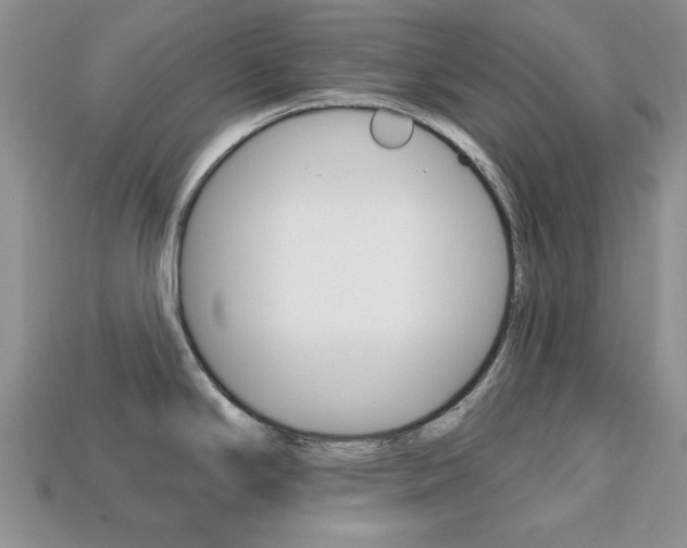 X0000113741294200909230938