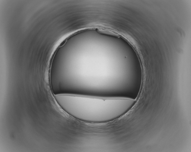 X0000113741296200909230938