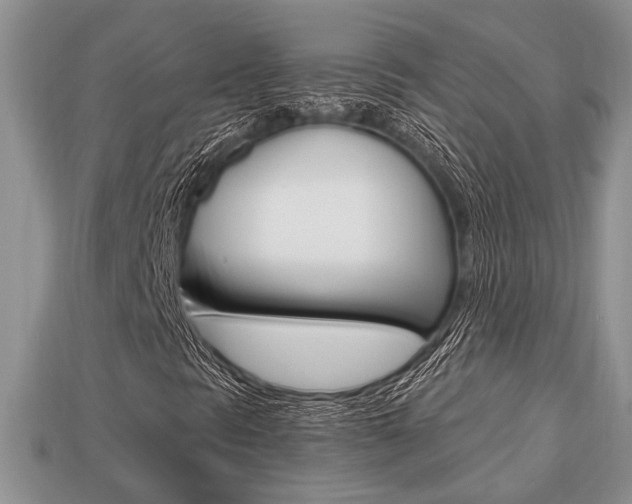 X0000113741297200909230937