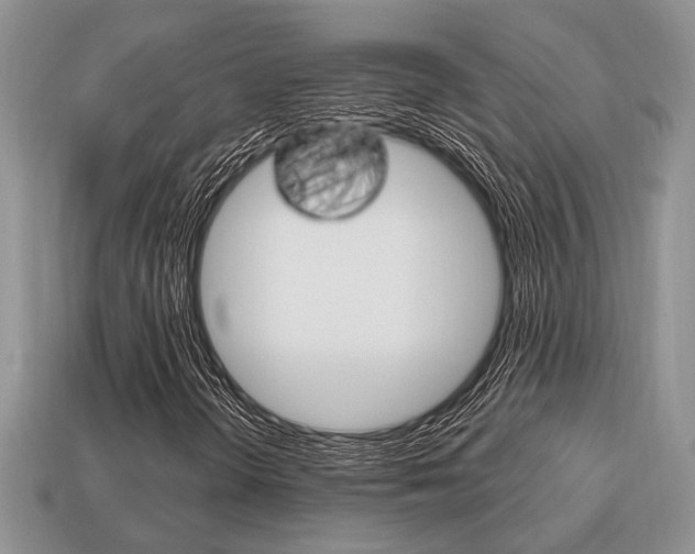 X0000113741298200909230937