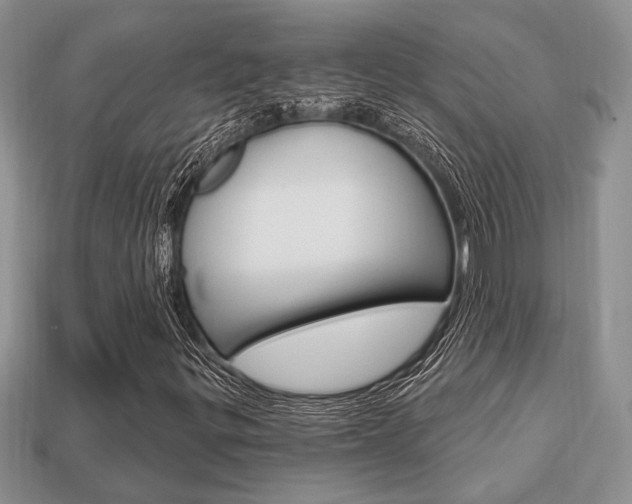 X0000113741299200909230937