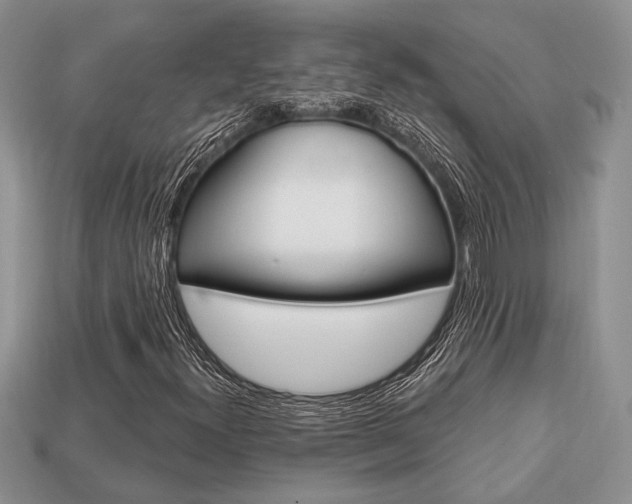 X0000113741300200909230937