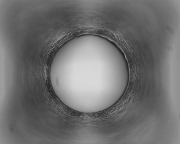 X0000113741301200909230937