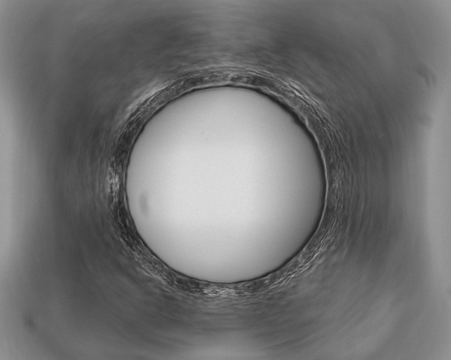 X0000113741302200909230937
