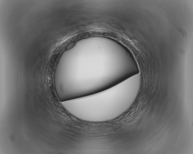X0000113741303200909230937