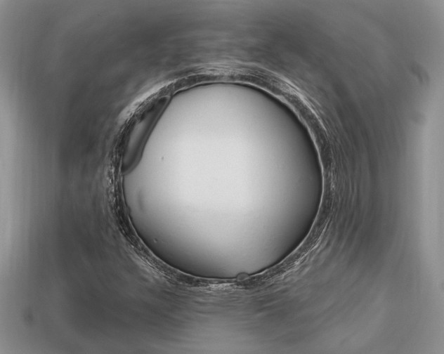 X0000113741304200909230937