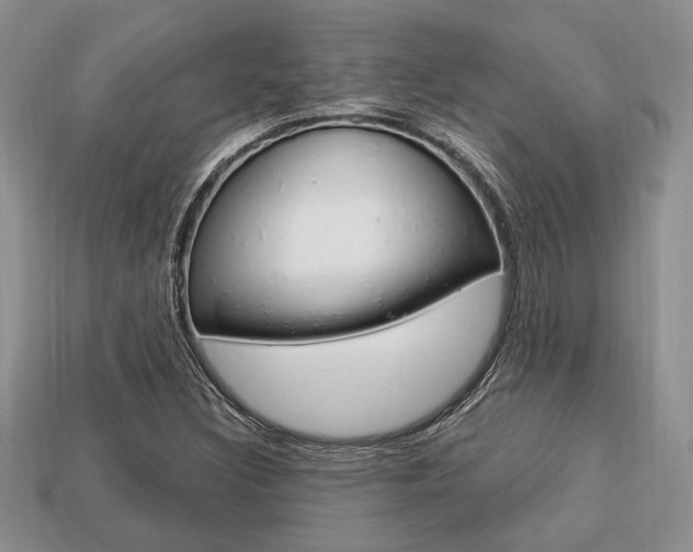 X0000113741308200909230937