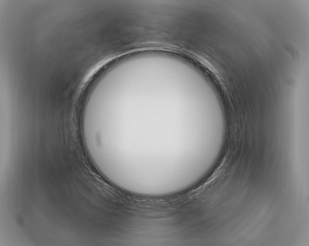 X0000113741310200909230938