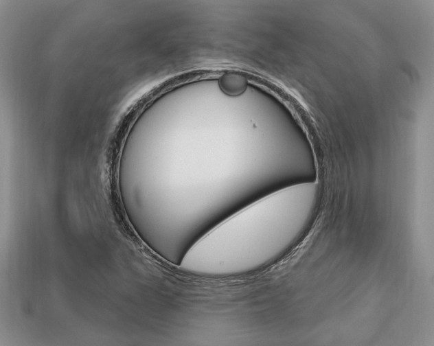 X0000113741311200909230938
