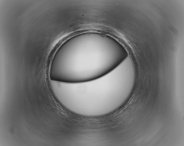 X0000113741312200909230938