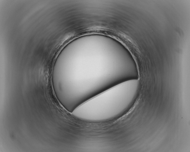 X0000113741313200909230938