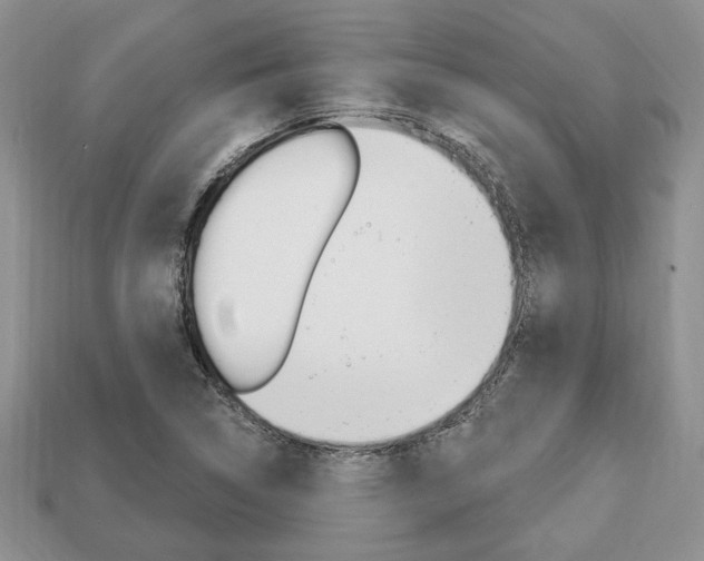 X0000113741314200909230938