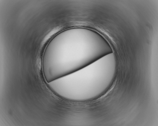 X0000113741317200909230938