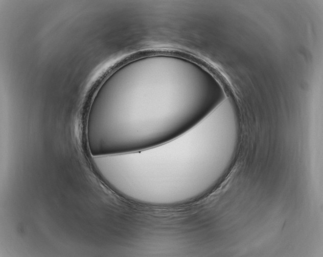 X0000113741319200909230938
