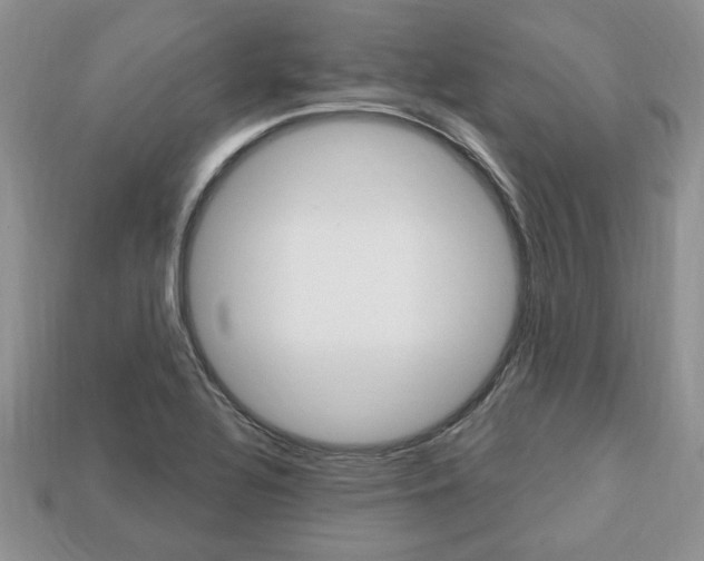 X0000113741320200909230938