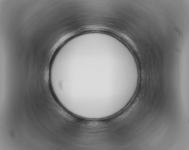 X0000113741322200909230938