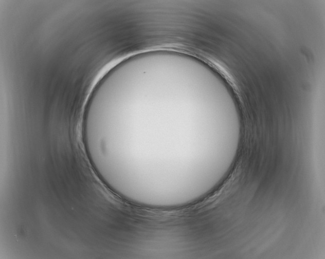 X0000113741324200909230938