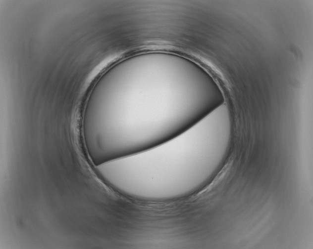 X0000113741325200909230938