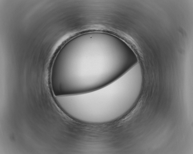 X0000113741326200909230938