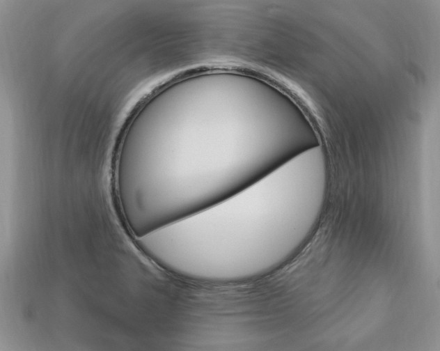 X0000113741327200909230938