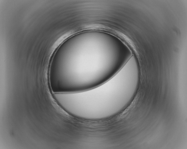 X0000113741330200909230938