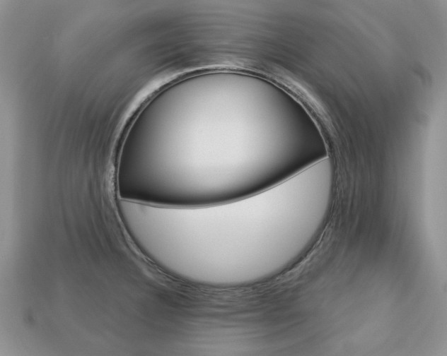 X0000113741332200909230938