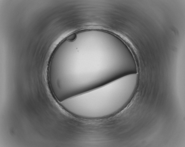 X0000113741333200909230938
