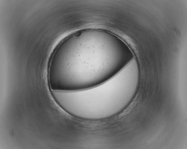 X0000113741334200909230938
