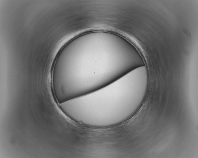 X0000113741335200909230938