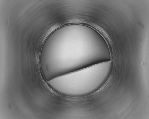 X0000113741337200909230938