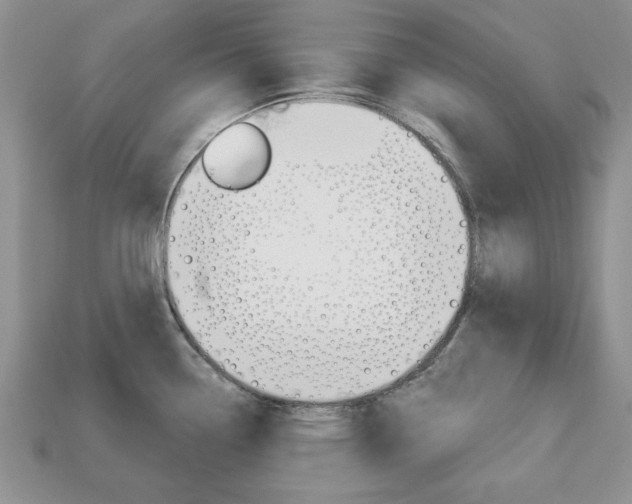 X0000113741338200909230938